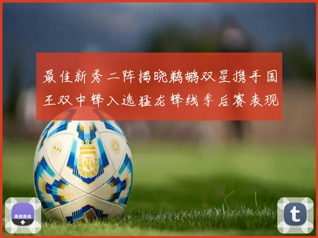 最佳新秀二阵揭晓鹈鹕双星携手国王双中锋入选猛龙锋线季后赛表现抢眼