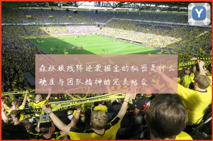 森林狼残阵逆袭掘金的秘密是什么硬度与团队精神的完美结合