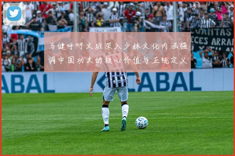 马健呼吁文班深入少林文化内涵强调中国功夫的核心价值与正统定义